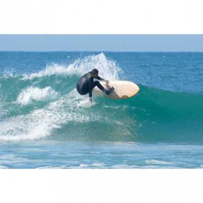 WoodKit PRO Retro Fish iPaulownia - David Weber Series WoodKit PRO Retro Fish iPaulownia - David Weber Series