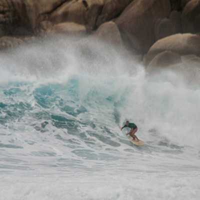 Jiantou WoodKit PRO iPaulownia - David Weber Series