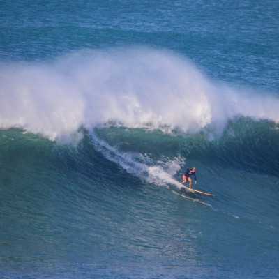 Jiantou WoodKit PRO iPaulownia - David Weber Series