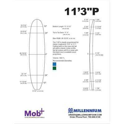 FOAM BLANK 11'3 P Longboard MILLENNIUM 3/8 bass