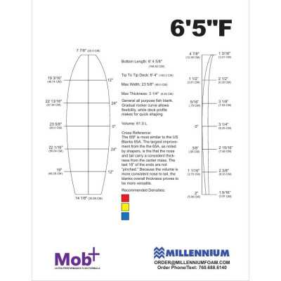 FOAM BLANK 6'5 F Fish MILLENNIUM 1/8 appelcore black
